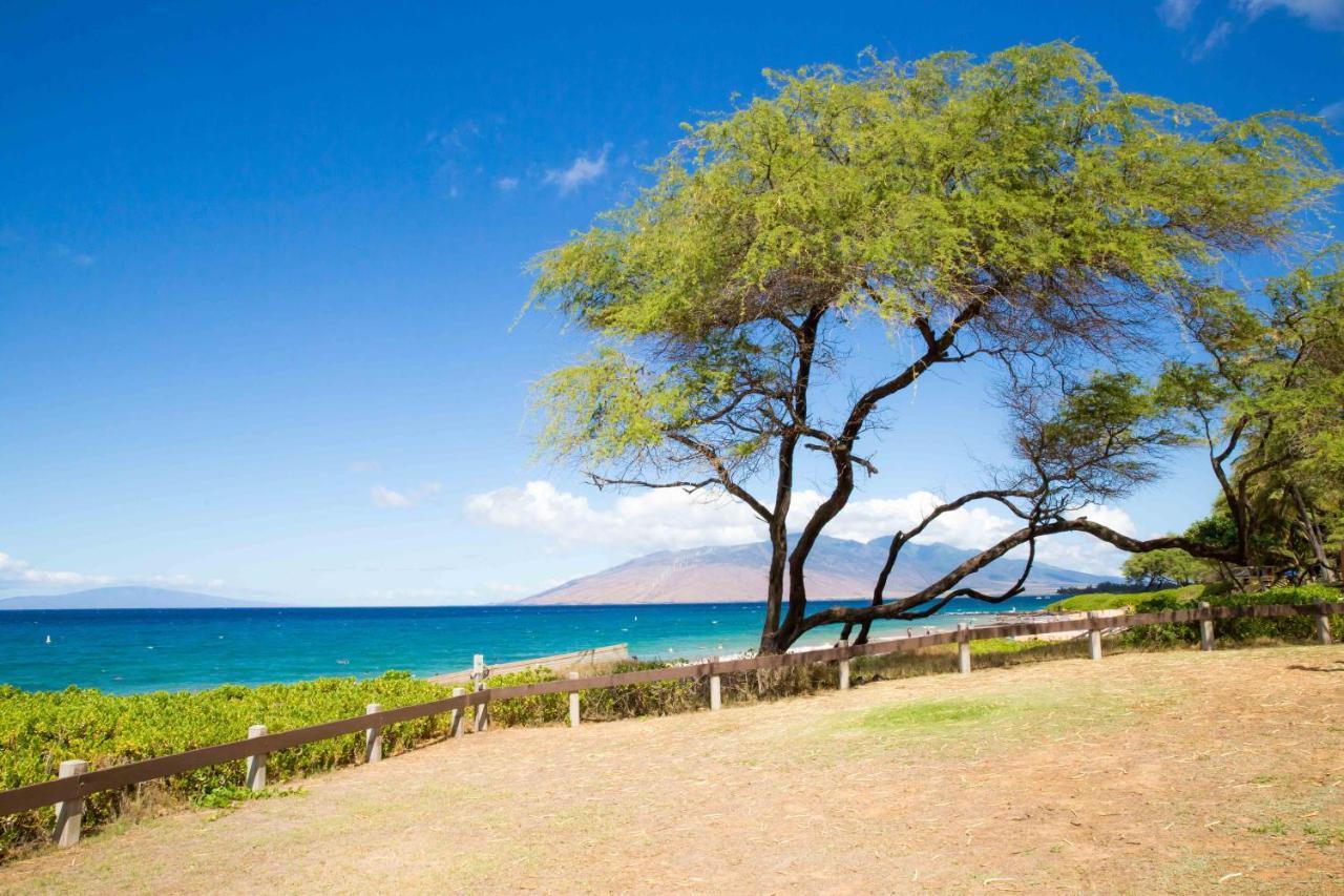 Villa Hale Kamaole 254 Wailea  Exterior foto